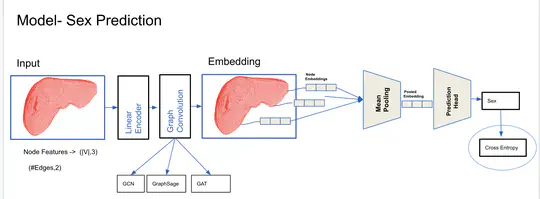 Graph Neural Networks on Abdominal Organs